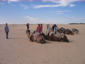 Riding camels in Douz