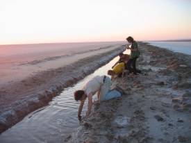 Students at Chott El Jerid